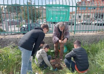 Festa dell’Albero edizione Primavera 2024, organizzata dal Circolo ‘Il Carrubo’ di Legambiente Ragusa