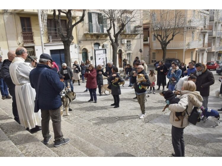 La benedizione degli animali primo evento dei festeggiamenti in onore di San Giuseppe a Ragusa