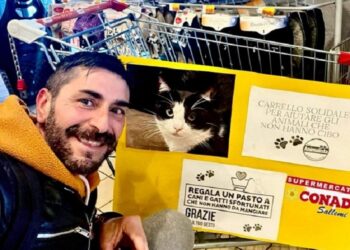 Un Carrello solidale per aiutare le volontarie che si occupano dei cani di quartiere e dei gatti delle colonie feline