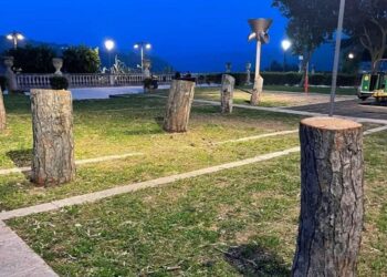 La strage dei pini della Villa di Ibla