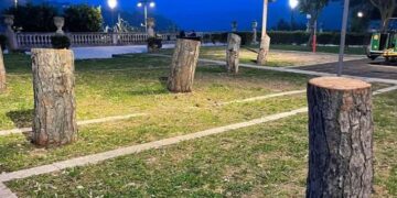 La strage dei pini della Villa di Ibla
