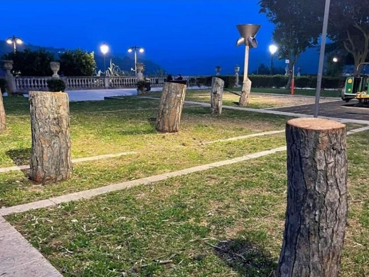 La strage dei pini della Villa di Ibla