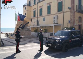 Ininterrotta e instancabile opera dei Carabinieri contro illegalità e reati in tutto il territorio provinciale