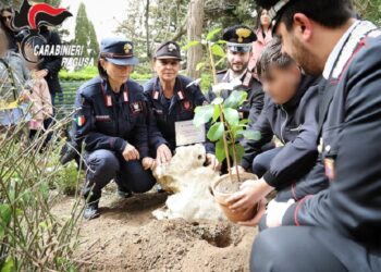 “Un albero per il futuro”, progetto nazionale di educazione ambientale: piantumazione di una talea dell’Albero di Falcone