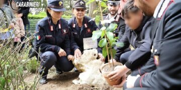 “Un albero per il futuro”, progetto nazionale di educazione ambientale: piantumazione di una talea dell’Albero di Falcone