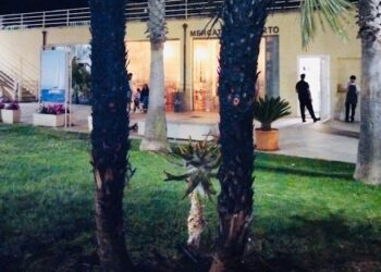 Incendio di due palme al porto di Marina di Ragusa. Denunciata una giovane donna