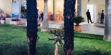 Incendio di due palme al porto di Marina di Ragusa. Denunciata una giovane donna