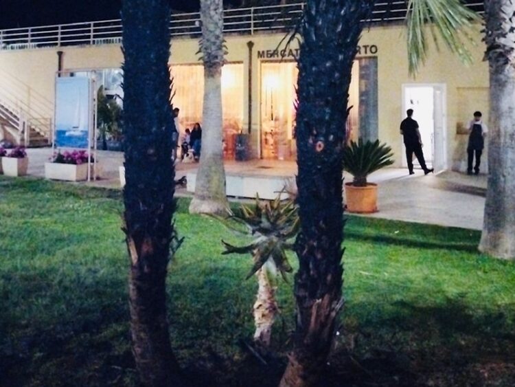 Incendio di due palme al porto di Marina di Ragusa. Denunciata una giovane donna