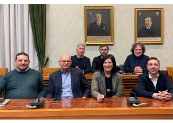 Una Legge per lo Sviluppo Sostenibile delle Reti di Telecomunicazioni: Regolamentazione degli Impianti Radioelettrici