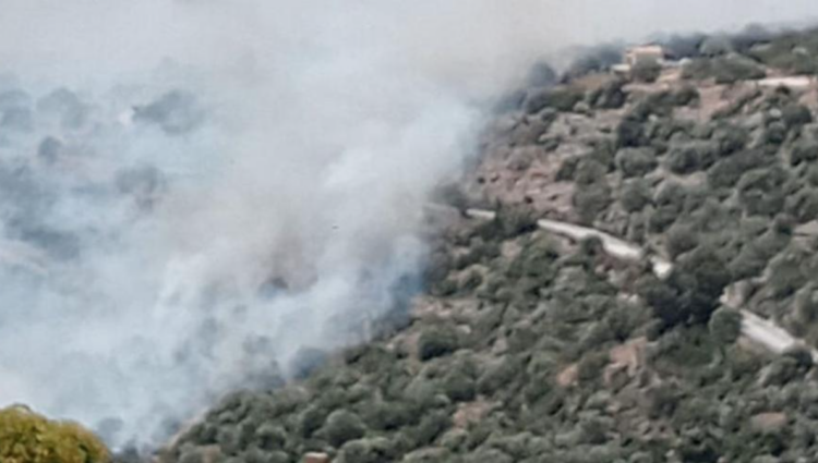 Diversi incendi in provincia di Ragusa alimentati dal forte vento, situazione pesante