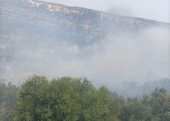 Incendi alla vegetazione in contrada Lurdieri a Scicli