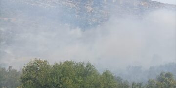 Incendi alla vegetazione in contrada Lurdieri a Scicli