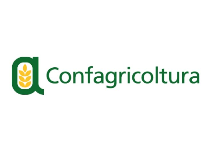 Le aziende agricole attendono ancora il credito d’imposta per gli investimenti 2023, Confagricoltura Ragusa: ritardo inaccettabile, sbloccare subito la situazione