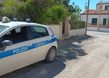 Deiezioni canine, la polizia locale di Modica sanziona 16 persone