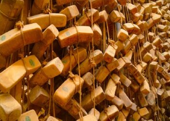 Si chiude “Progetto Di Fattoria”, creato per la valorizzazione del Ragusano DOP