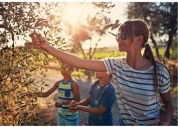 Svolta nel turismo dell’olio, arrivano il rapporto annuale e il sito ufficiale con oltre 300 experience