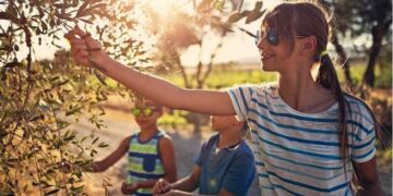 Svolta nel turismo dell’olio, arrivano il rapporto annuale e il sito ufficiale con oltre 300 experience