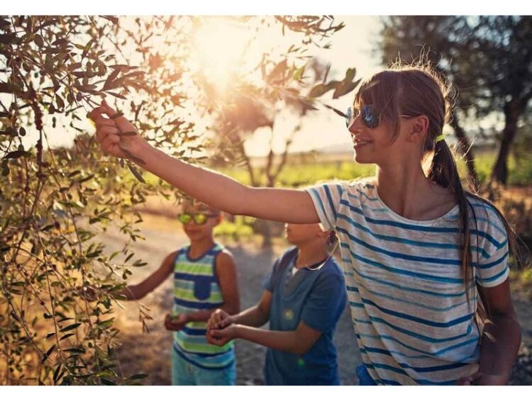 Svolta nel turismo dell’olio, arrivano il rapporto annuale e il sito ufficiale con oltre 300 experience