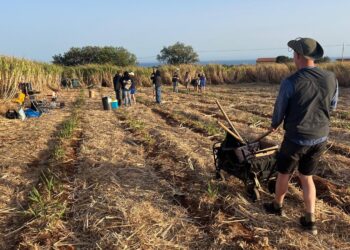 La tv di Stato danese gira a Sampieri