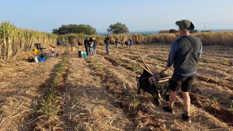 La tv di Stato danese gira a Sampieri