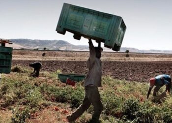 Caporalato a Vittoria, denunciato un imprenditore agricolo a Resinè