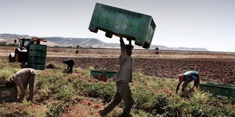 Caporalato a Vittoria, denunciato un imprenditore agricolo a Resinè