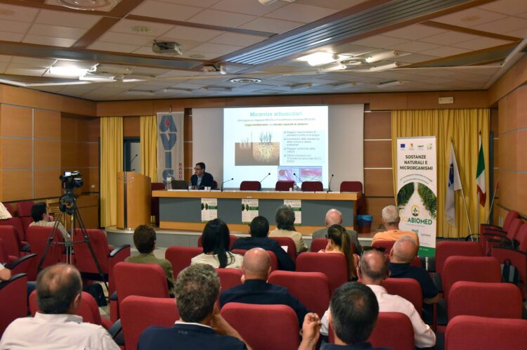 La riduzione degli input chimici nelle produzioni orticole illustrata in un convegno