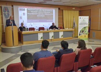 Ragusa, portinnesti innovativi per la melanzana e il melone cantalupo