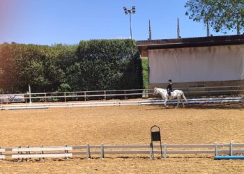 A Ragusa la seconda fase del campionato regionale di equitazione Fisdir