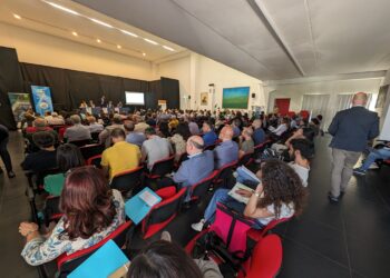 Ragusa, le novità della dichiarazione dei redditi del 2024 e l’incontro promosso da Anc