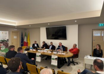 Le enormi potenzialità del carrubo al centro di un progetto che sviluppa sistemi innovativi per la filiera