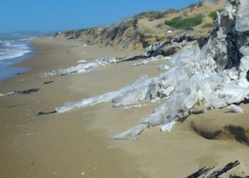 Rifiuti abbandonati ad Acate, denunciate tre persone