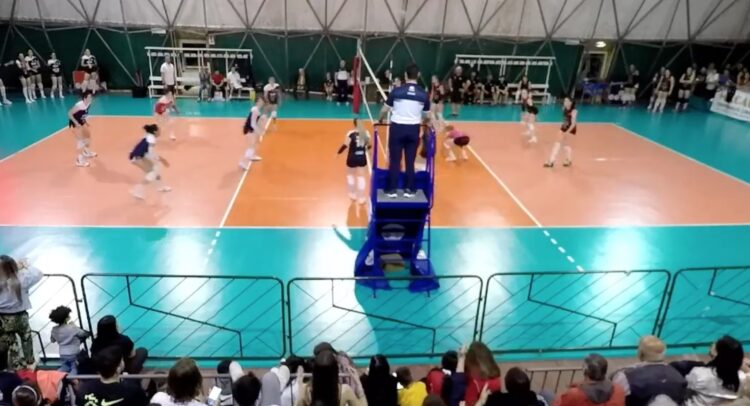 La Pvt costretta ad arrendersi allo strapotere del Bisceglie