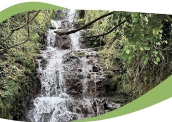 Settimana dell’ambiente, sta per partire la quinta edizione