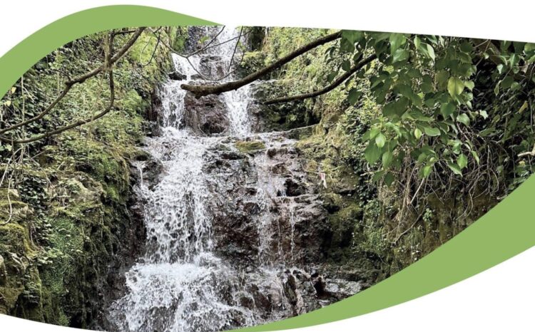 Settimana dell’ambiente, sta per partire la quinta edizione