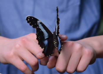 Ispica, nella parrocchia Madonna delle Grazie la presentazione dell’ufficio Fragilità