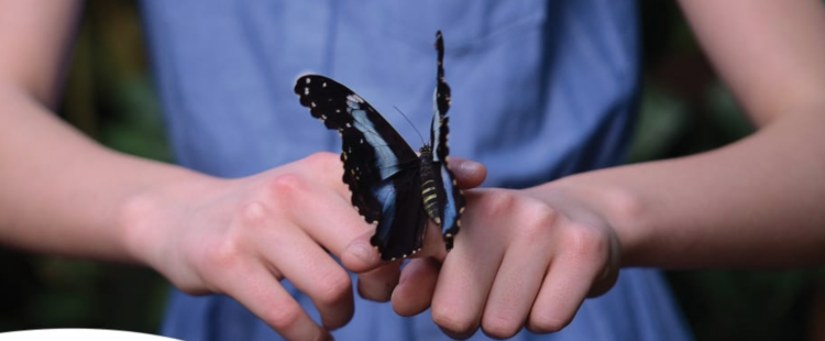 Ispica, nella parrocchia Madonna delle Grazie la presentazione dell’ufficio Fragilità