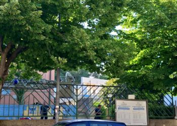 Ragusa, nido d’api in prossimità della scuola Palazzello. In campo i vigili del fuoco