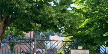 Ragusa, nido d’api in prossimità della scuola Palazzello. In campo i vigili del fuoco