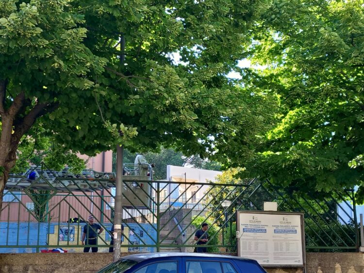 Ragusa, nido d’api in prossimità della scuola Palazzello. In campo i vigili del fuoco