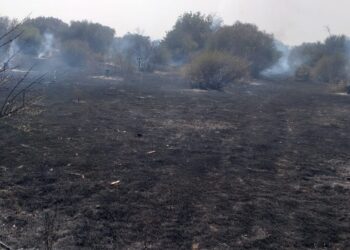 Chiaramonte, grosso incendio a Scornavacca