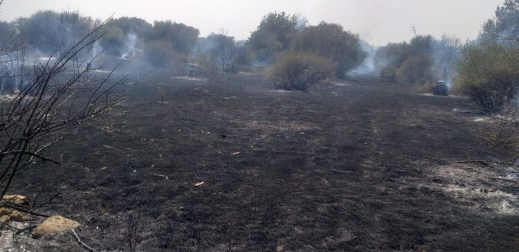 Chiaramonte, grosso incendio a Scornavacca