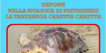 La caretta caretta torna a deporre a Pozzallo
