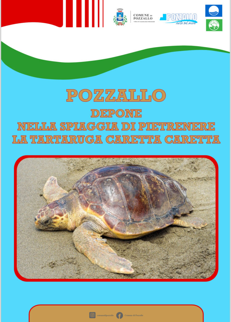 La caretta caretta torna a deporre a Pozzallo