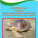 La caretta caretta torna a deporre a Pozzallo