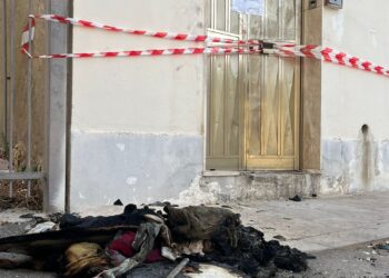 La tragedia di Vittoria, Confcommercio: “Fare rete per evitare che il disagio cresca”