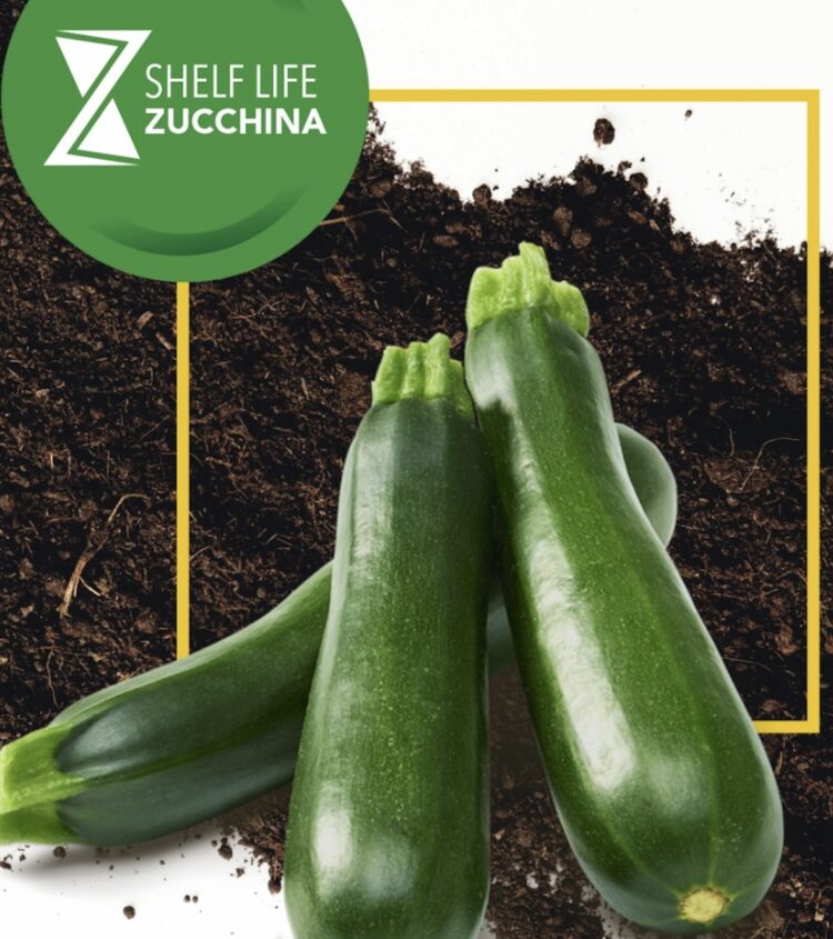 Ispica e le tecniche innovative per la produzione di zucchine