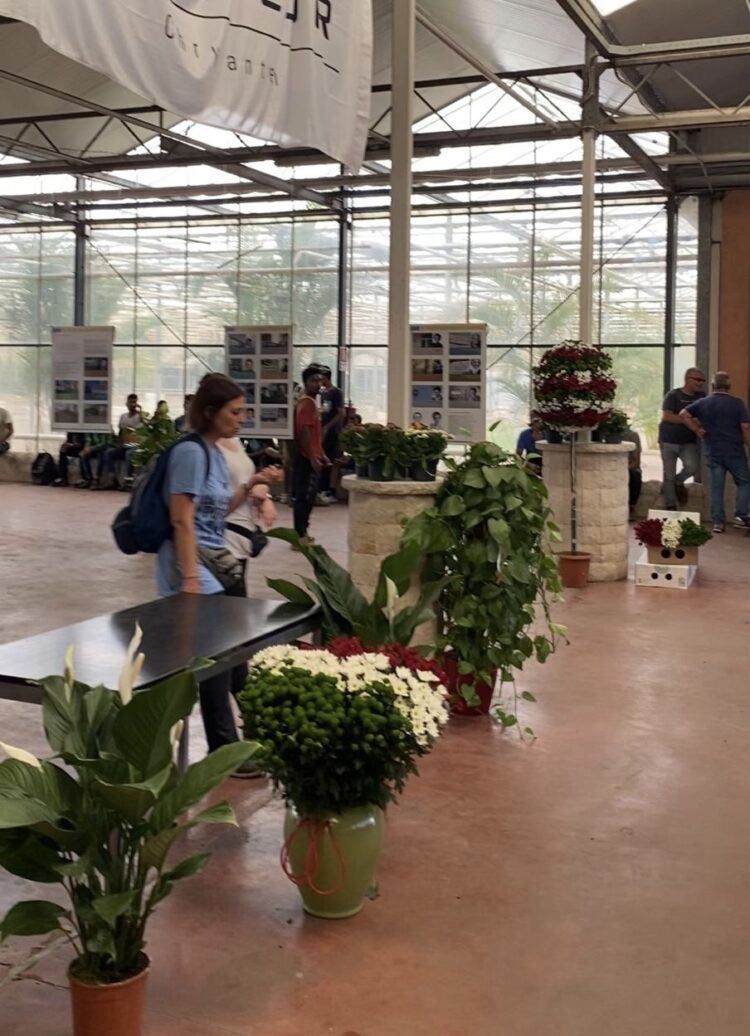 Acate, la mostra “Le 21 Madri costituenti” esposta in un’azienda agricola