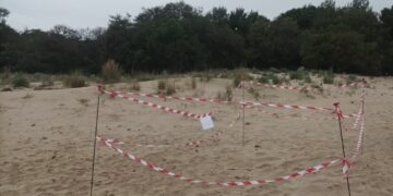 Marina di Modica, primo nido di Caretta caretta sul litorale