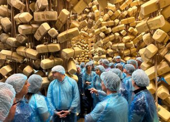 Una delegazione Siea in visita al magazzino di stagionatura del formaggio Ragusano Dop